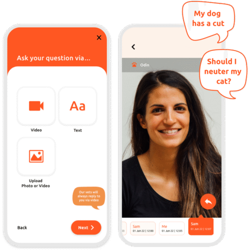 VidiVet app